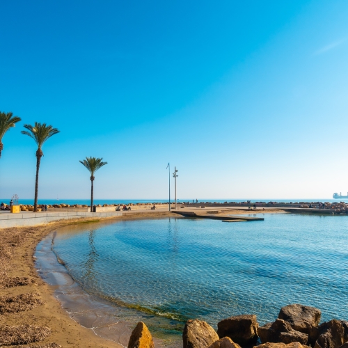 Beach with palm trees in the coastal town of Torrevieja next to the Playa del Cura, Alicante
